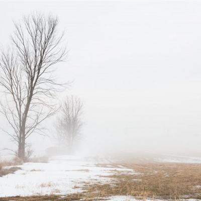 千亿国际手机app下载